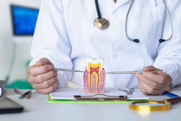 Best Dentist for Dental Trauma  in Cairo, NE